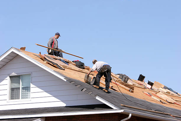 Best Roof Maintenance and Cleaning  in Bonita Springs, FL